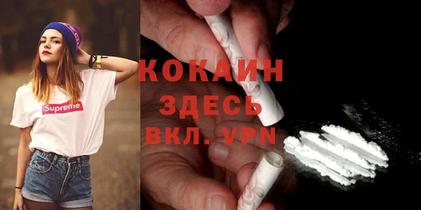 стафф Дмитров